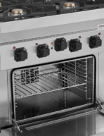 Gas Range with Electric Oven – 4 Burners – E70FG020 - Image 6